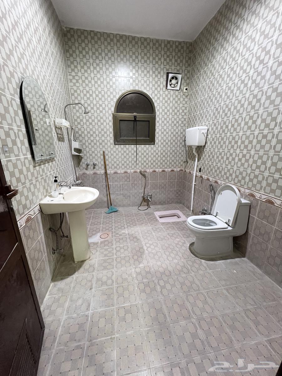 للإيجار شقة في السلمانية بالهفوف64506231193475114