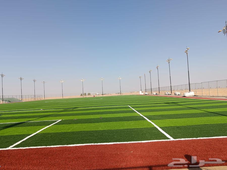 Artificial grass for sports fields and gardens needs64501731904643111