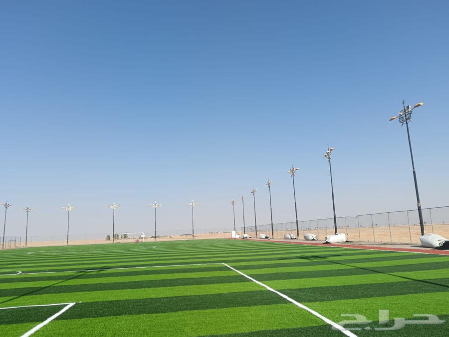 Artificial grass for sports fields and gardens needs64501731904643113