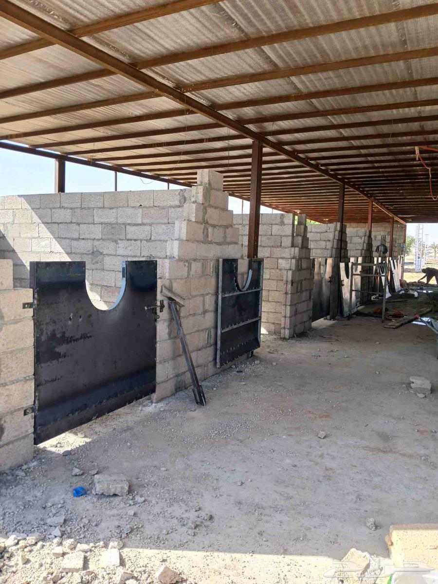 بناء ولياسه غرف خيل64506444767619112