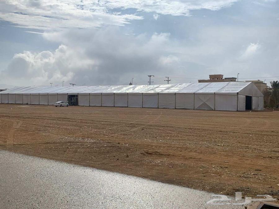 تأجير خيام بيوت شعر خيام أوروبية64506459666179110