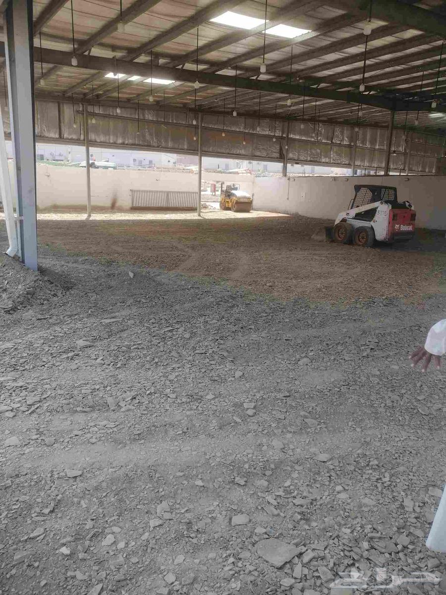 Asphalt and compaction of floors64506396156547114