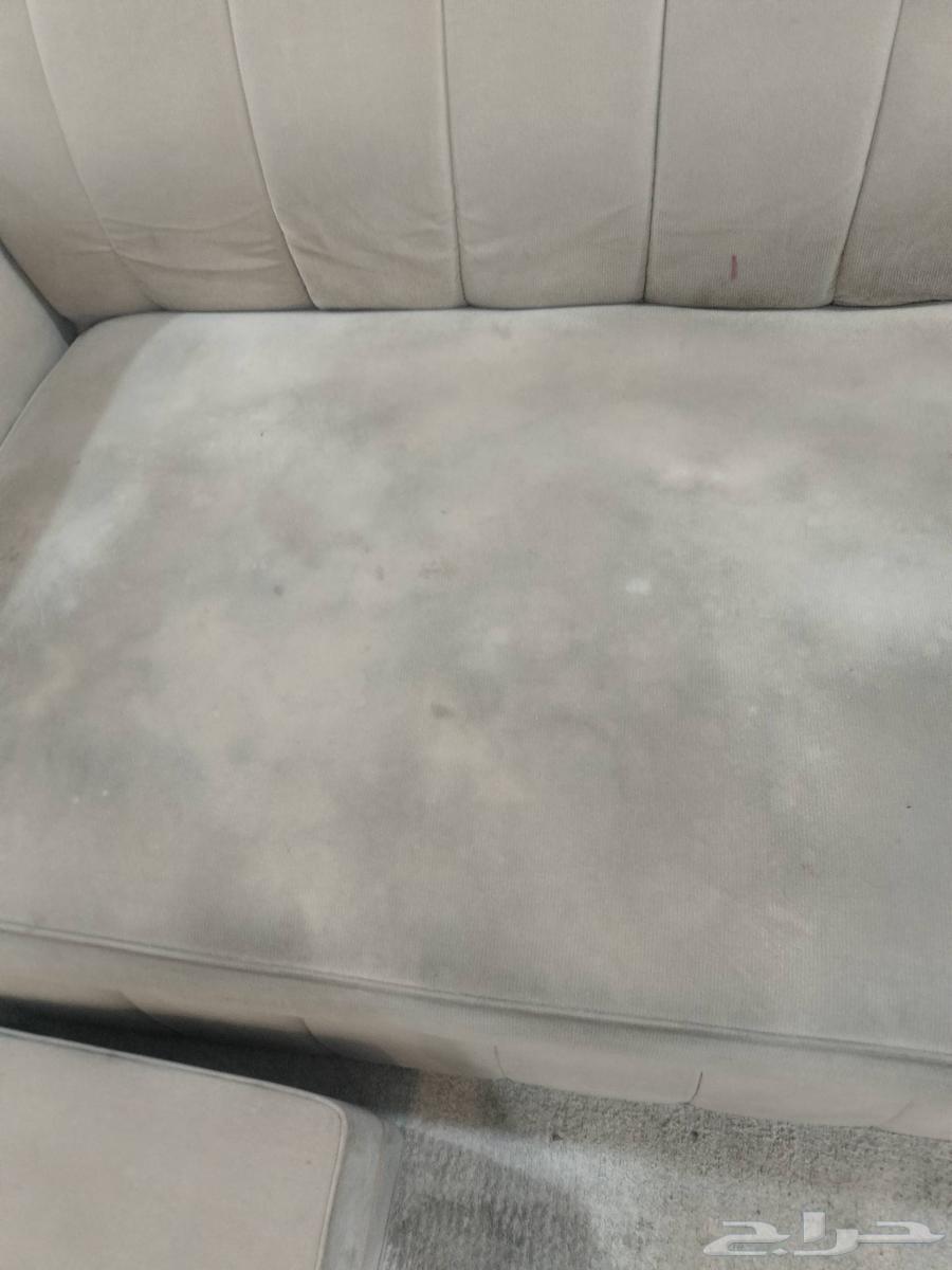 Al-Mukafih Cleaning Services for Majlis, Sofas, Carpets, and Curtains64506460005121114