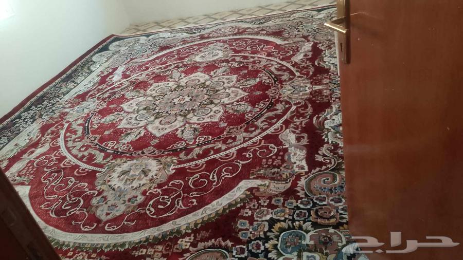 معلم تركيب تركيب فرش موكيت مشمع عشب صناعي مساجد فنادق اثاث64513525721218111