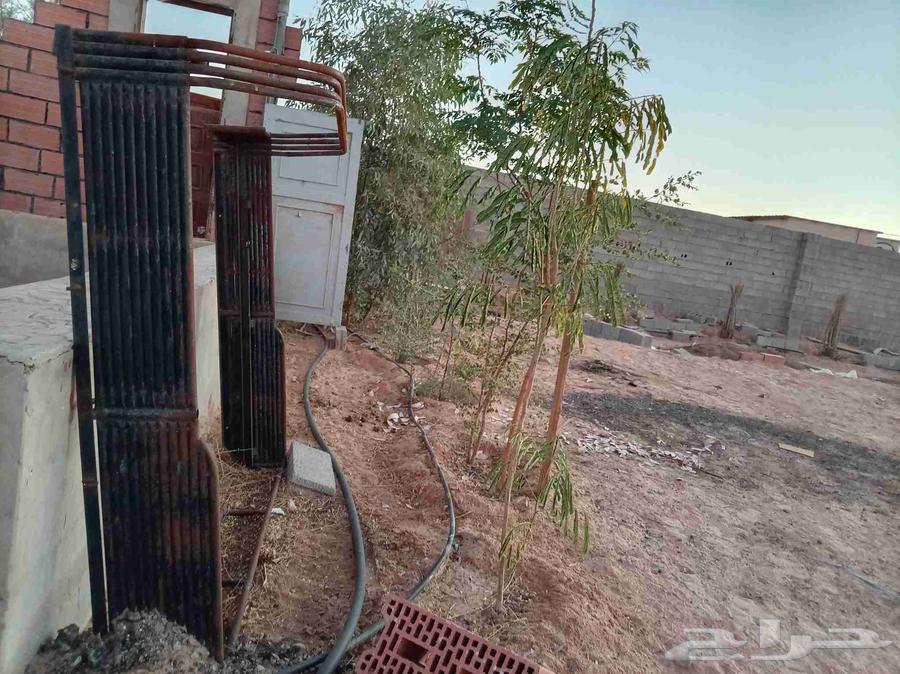 شد هنقلين ديماكس202064506248774146111