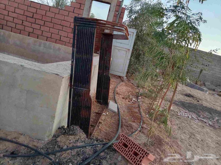 شد هنقلين ديماكس202064506248774146110