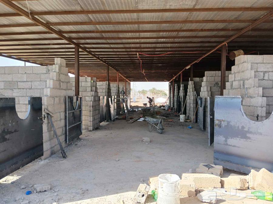 بناء ولياسه غرف خيل64506444767619114