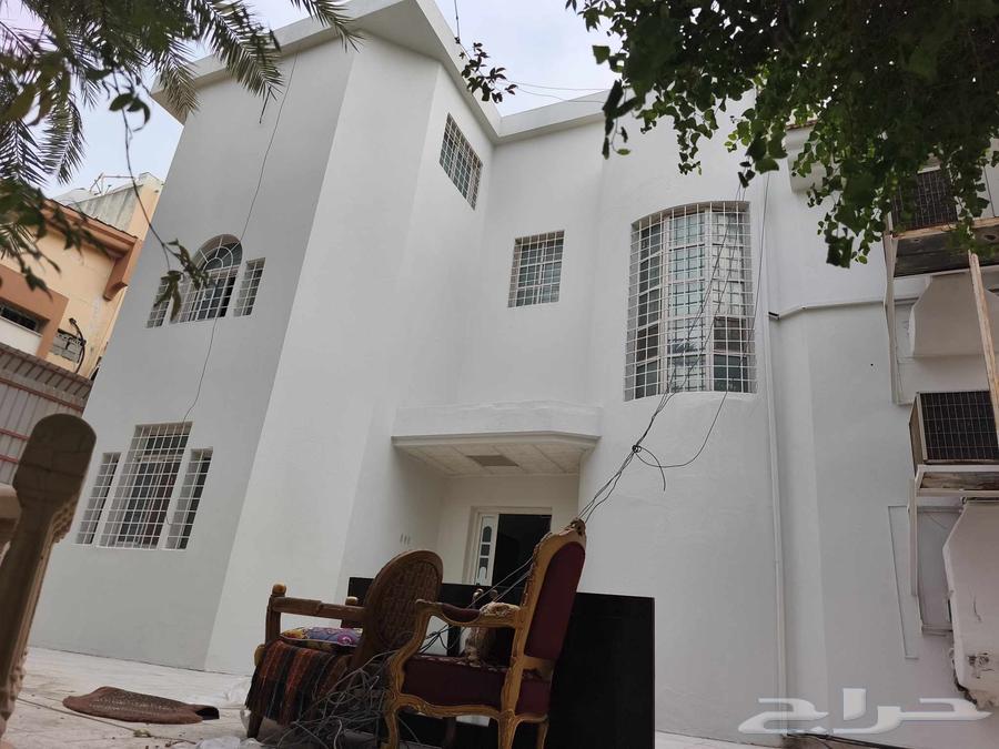 دهان داخلي خارجي عازل سطخ ديكور رويال فلفيت64506412602627114