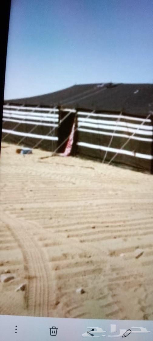 Setting up camps64513542841731110