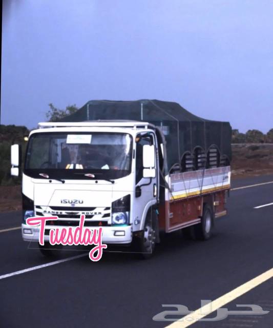 دينا لنقل البضائع والعفش64513525546753110