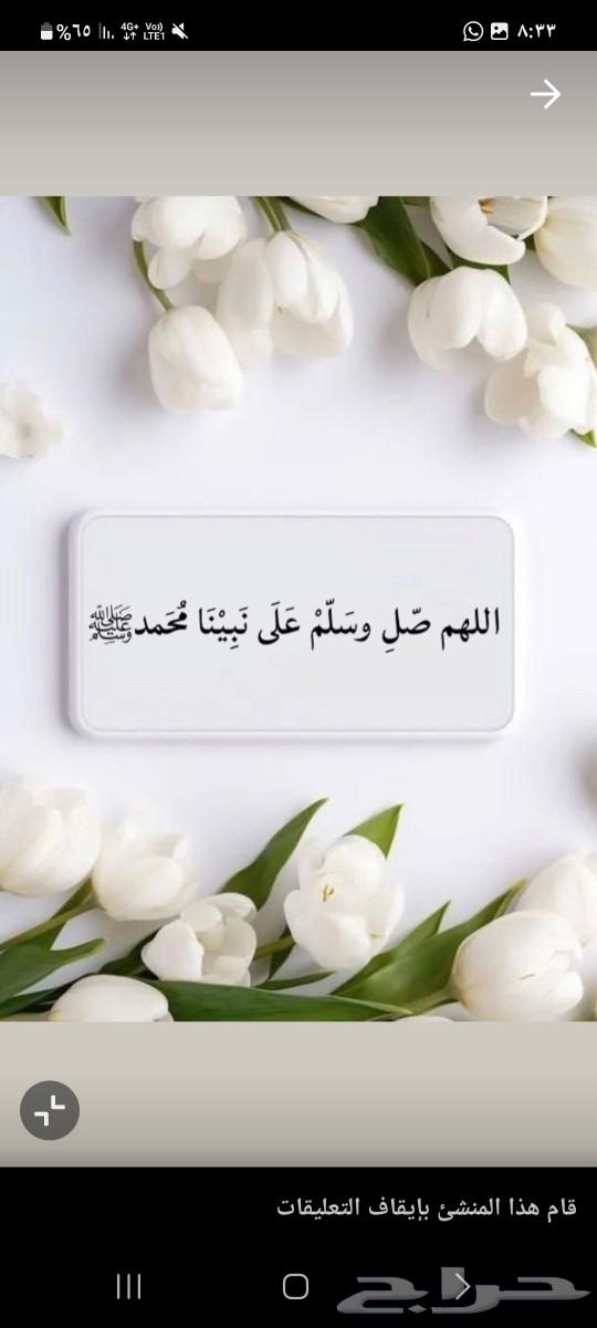 نخدم المشغول لمراجعه جميع الجهات الحكوميه64506298891650112