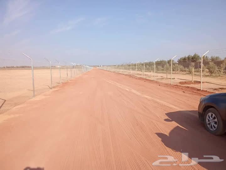 Supply and installation of all types of iron fencing in all areas of the Kingdom64506460044418112