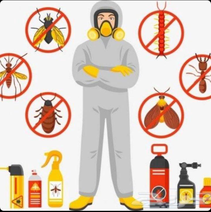 شركة تنظيف شقق نظافه شقق فلل جلي بلاط شركة تنظيف كنب وسجاد64582048363777113