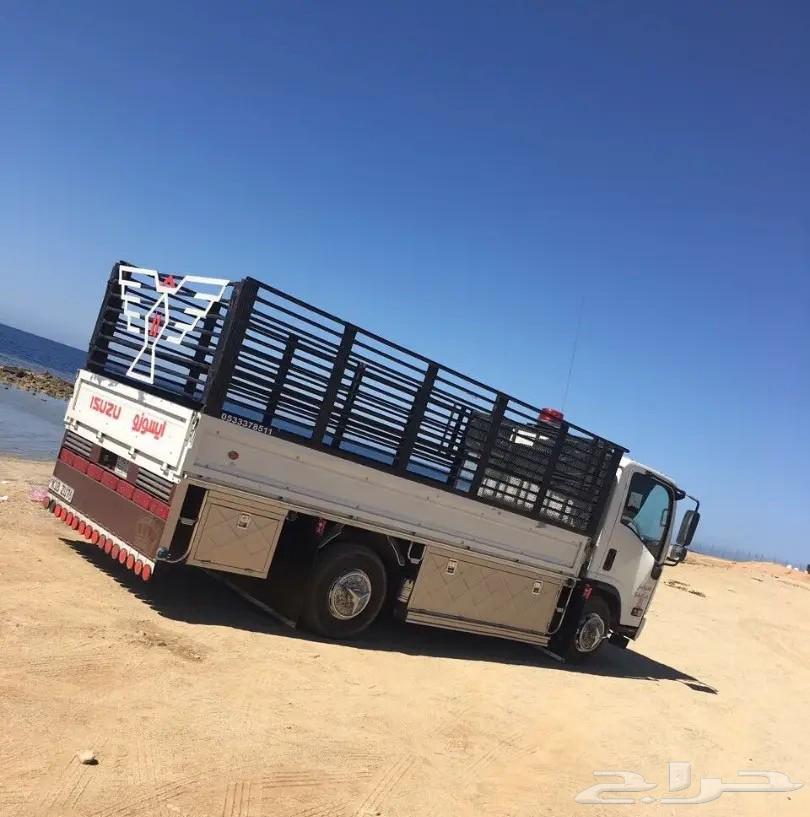 Dina Furniture Moving In and Out of Jeddah with Disassembly and Assembly64501731169282110