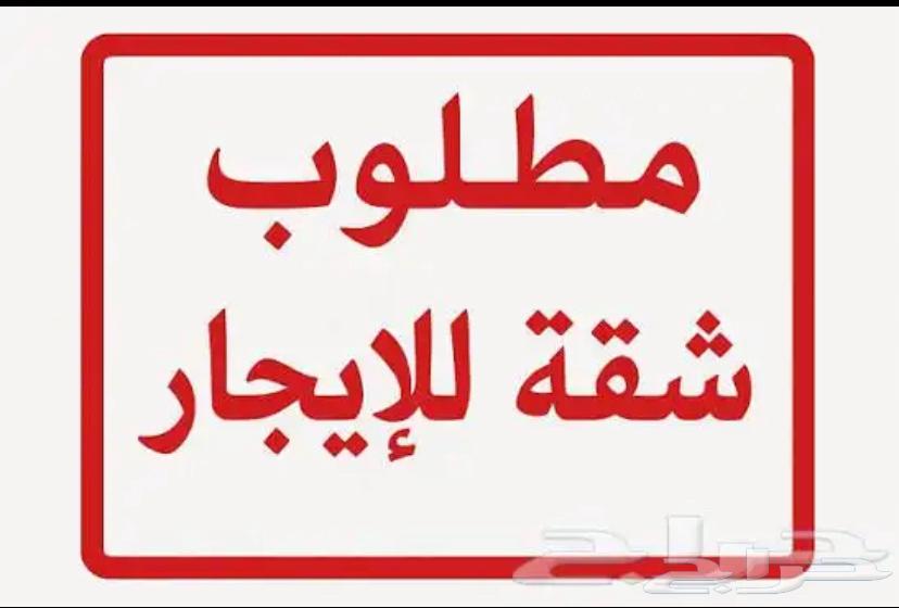 مطلوب شقق للاجار من المالك مباشره مسوق عقار64513526024578110