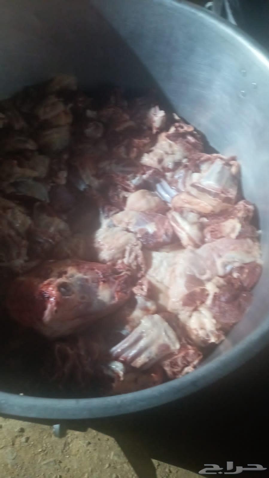 Mobile Chef Inside and Outside Riyadh Abu Khalid64506444669699114