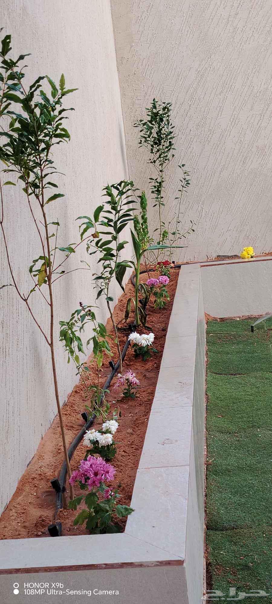 تنسيق حدائق القصيم عشب طبيعي احواض زراعيه غرغ زجاجيه مظلات64506314945027111