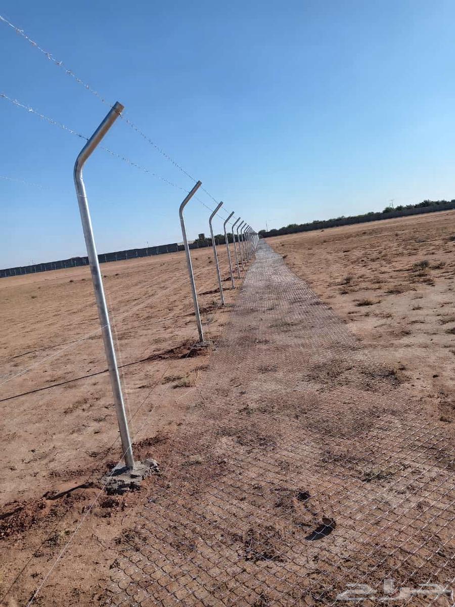 مقاول شبوك ونخيل64506298801922113