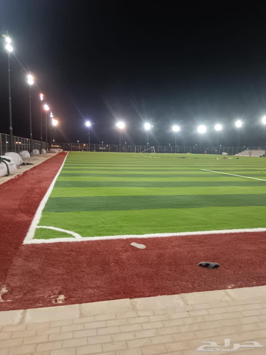 Artificial grass for sports fields and gardens needs64501731904643114