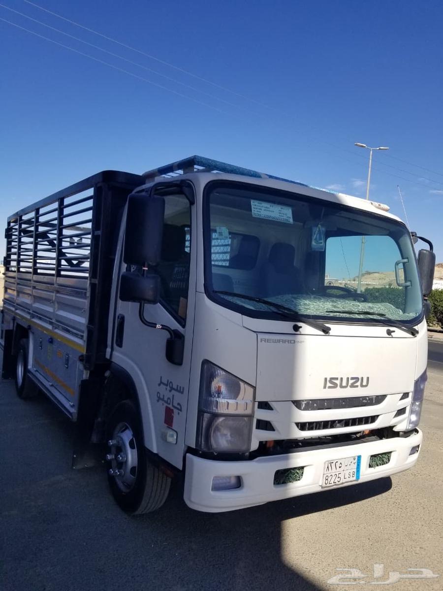 دينا سوبر جامبو مديل 202164506444745217110