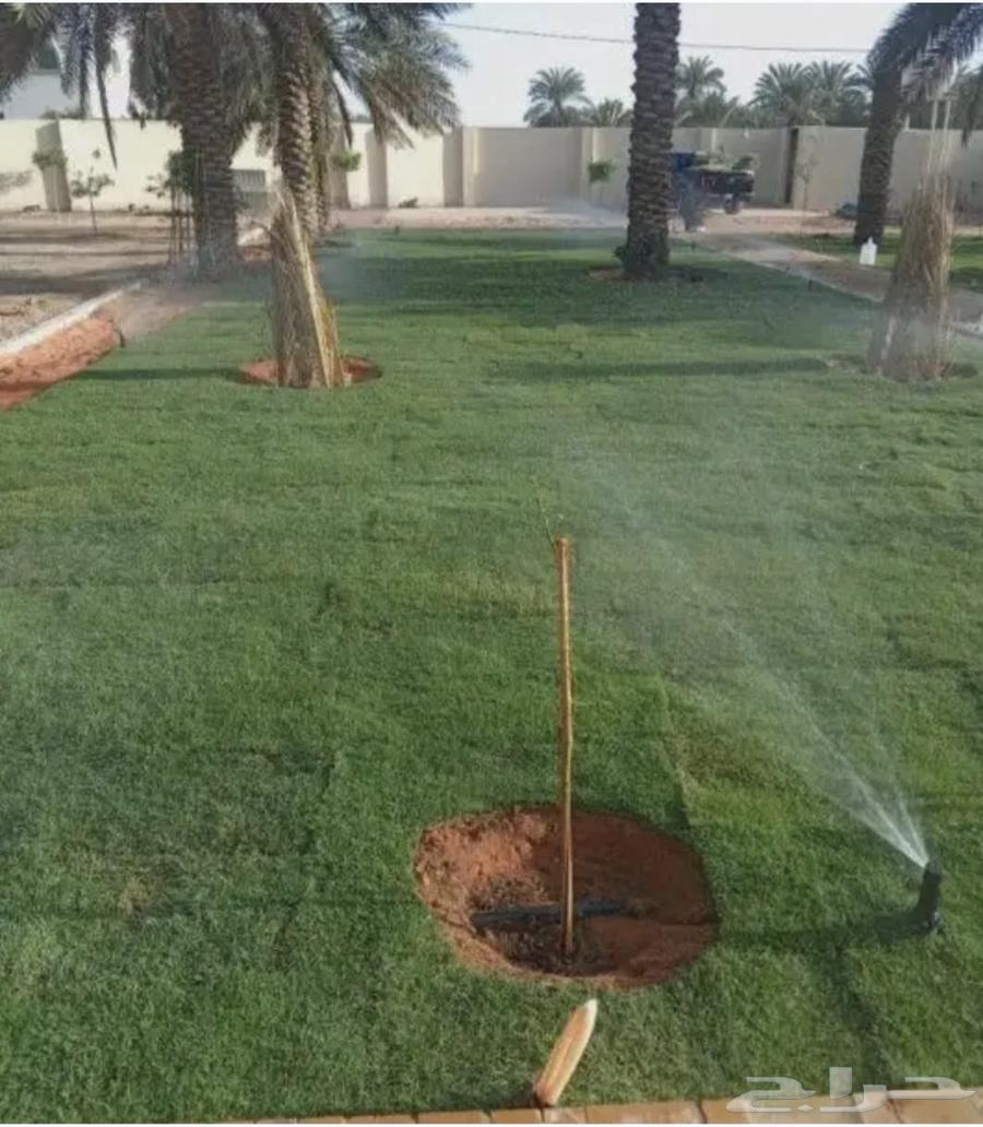 سباك زراعي وتركيب التايمر الرشاشات والصيانه64518244184963111