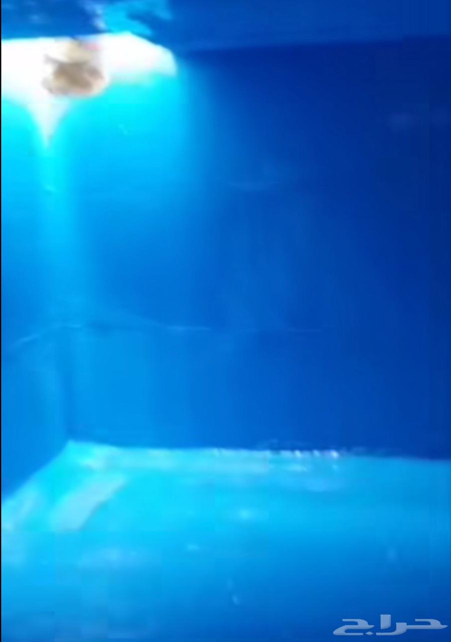 كشف تسربات المياه بالدمام والخبر والقطيف64513588798978114