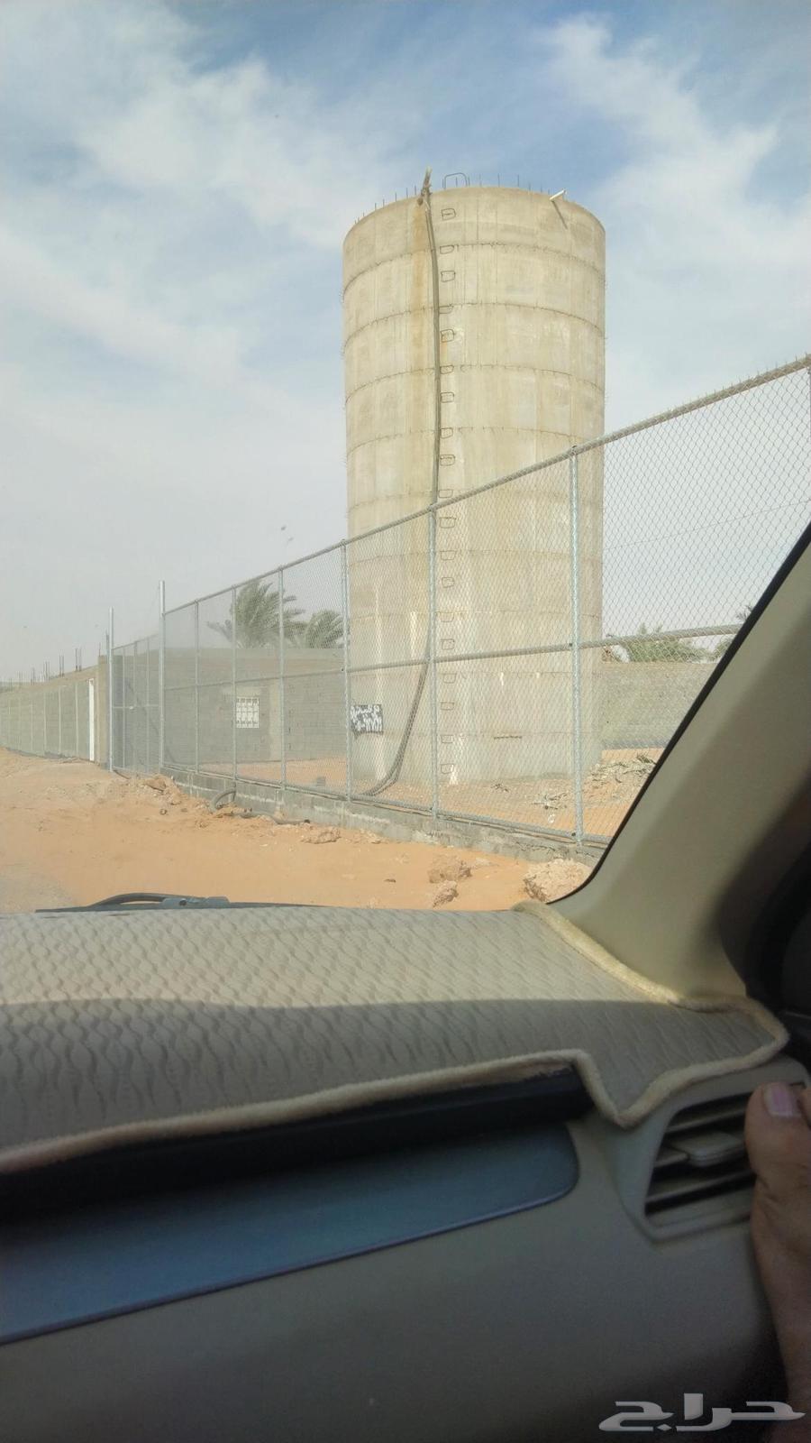 Installation of fences and planting of palm trees throughout the Kingdom64518293478401110