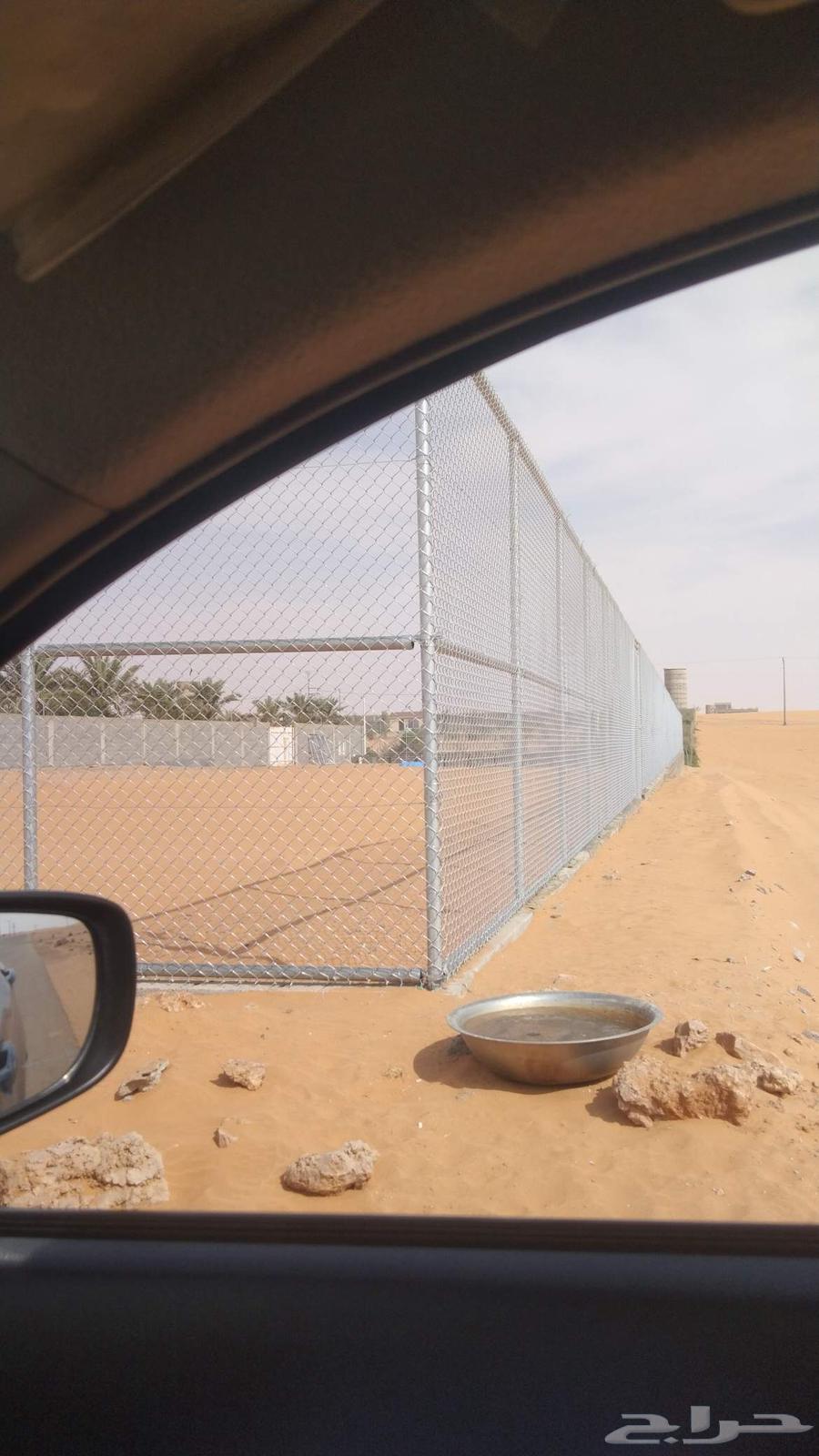 Installation of fences and planting of palm trees throughout the Kingdom64518293478401113