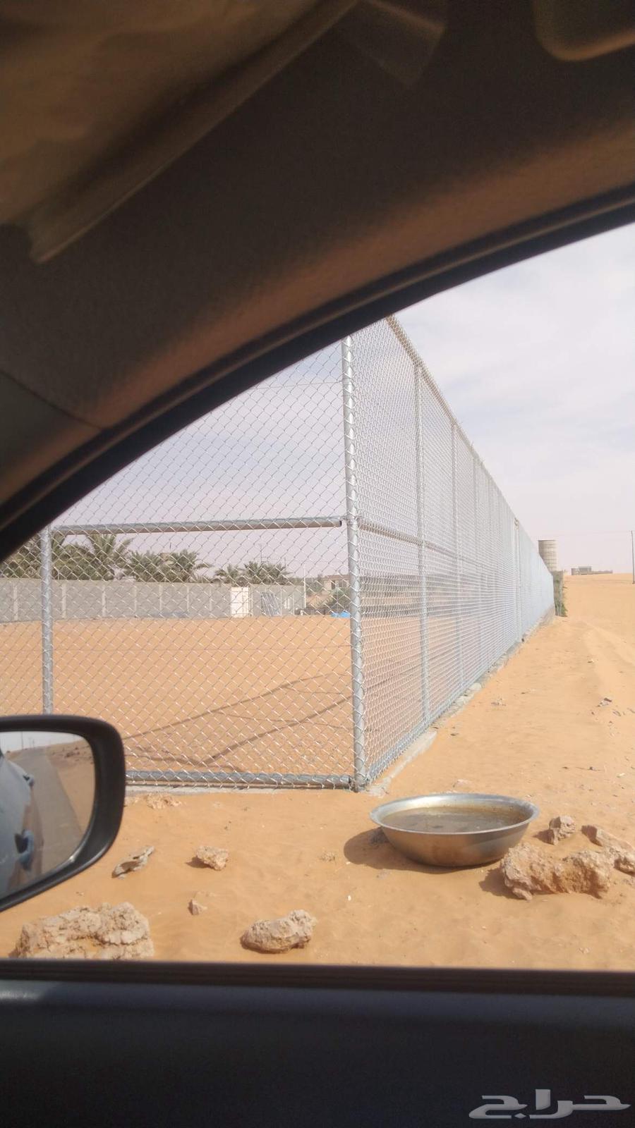 Installation of fences and planting of palm trees throughout the Kingdom64518293478401112