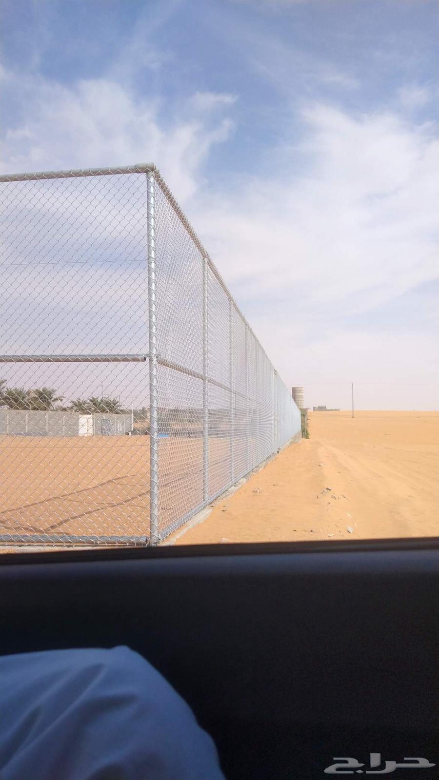 Installation of fences and planting of palm trees throughout the Kingdom64518293478401111