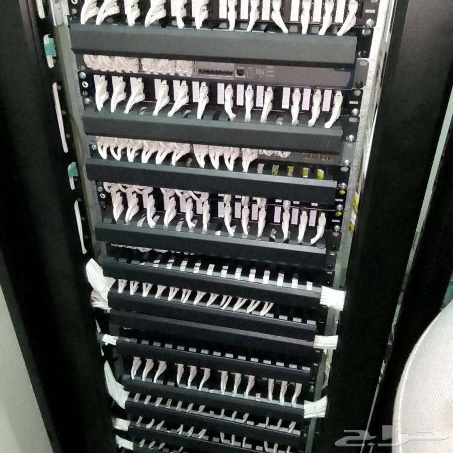 Surveillance cameras and decoration networks64518261543425111