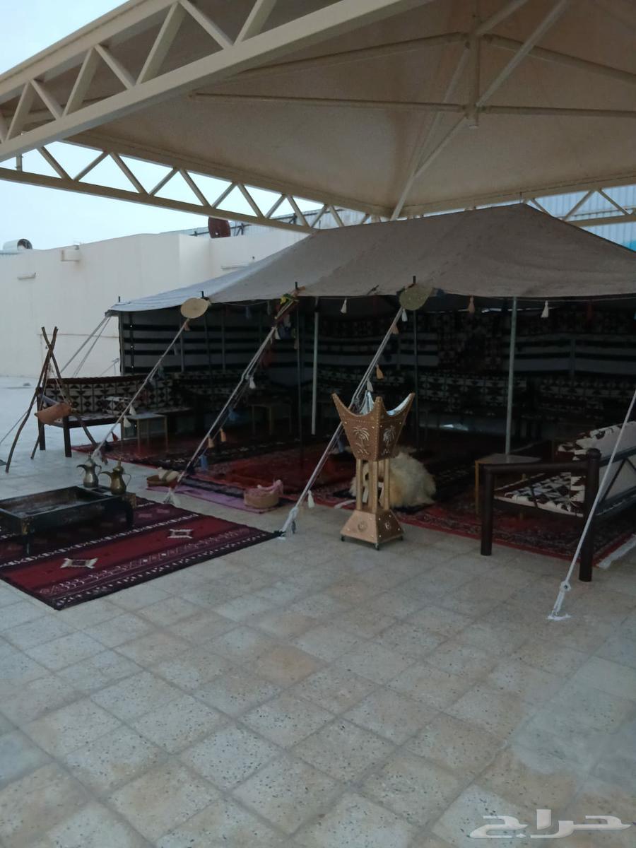 تاجير اخيام وبيوت شعر وقهوجيه وعقود نور وشبك وكراسي وطولات64518261138305111