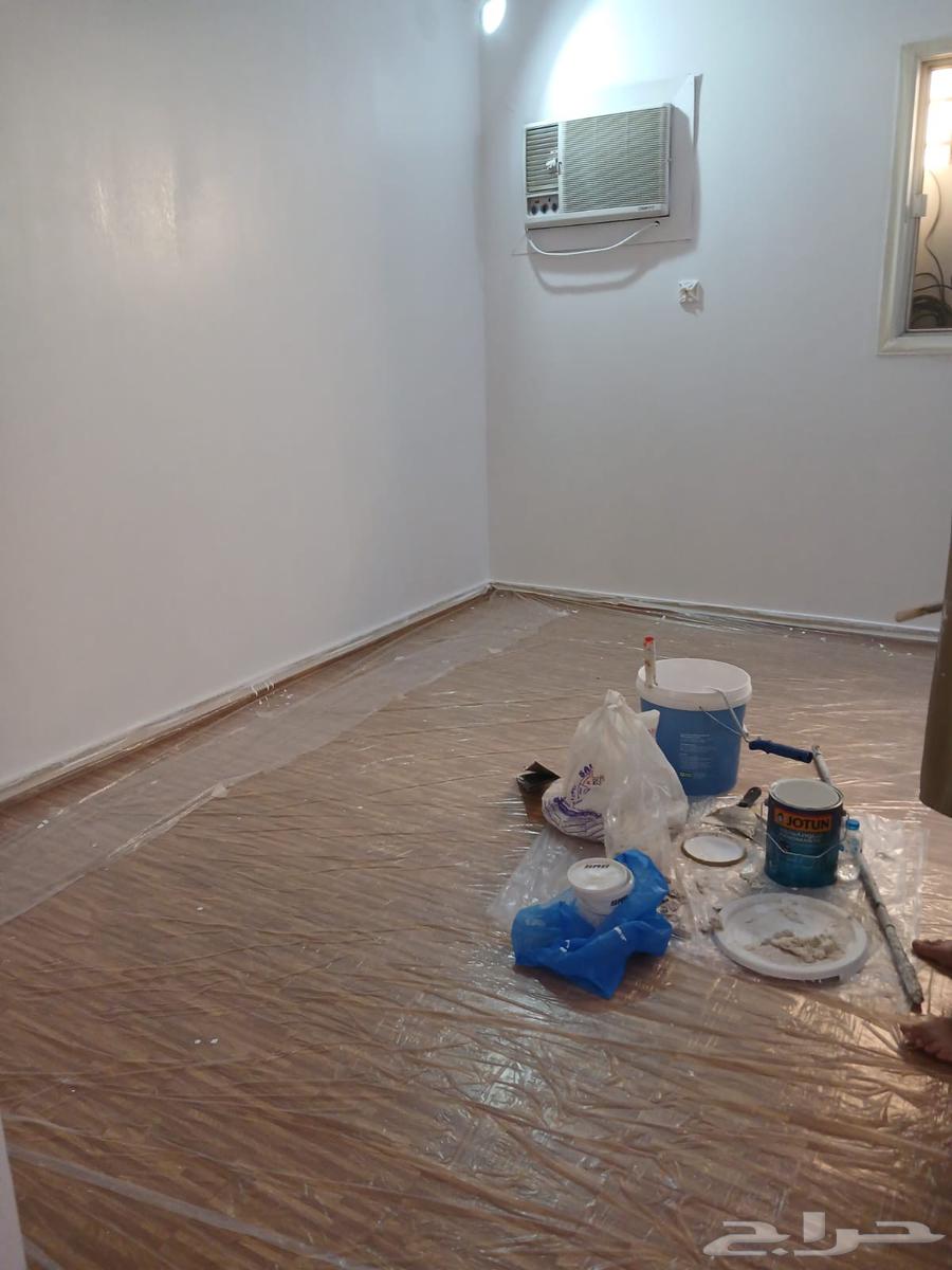 معلم دهان بروفايل باكستاني64518309789442113