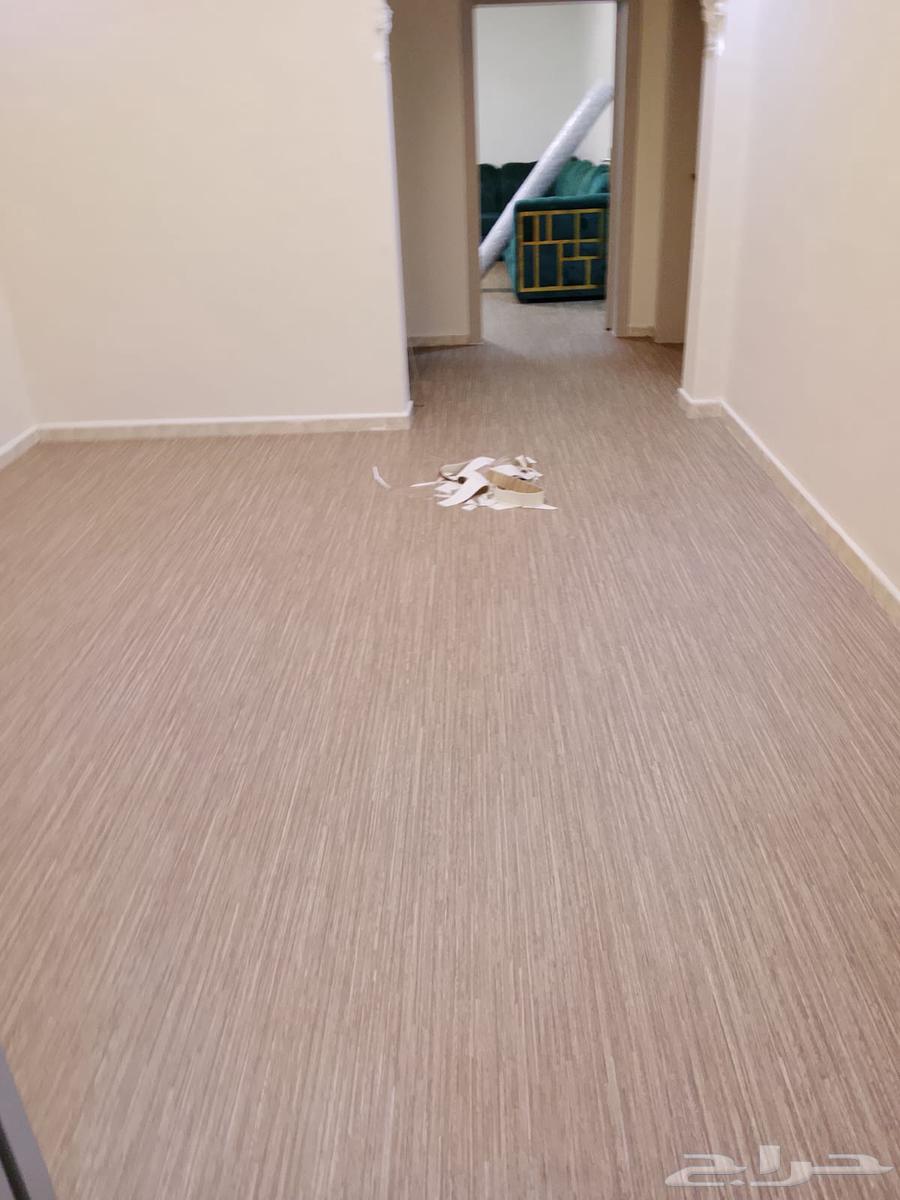 Carpet and carpet installation expert, carpets, linoleum, and turf64518277243649112