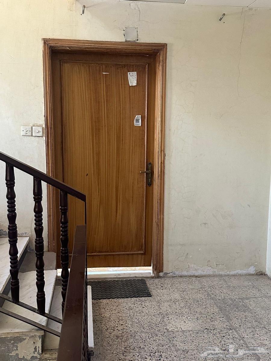 شقة للإيجار