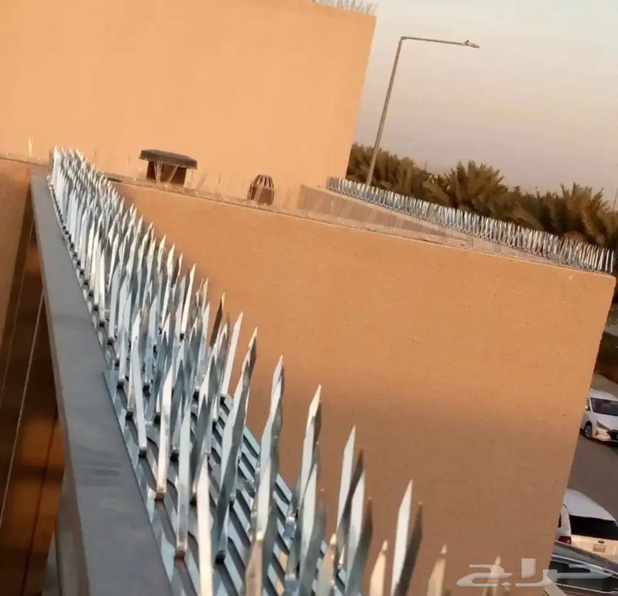 Jeddah pigeon deterrent installation company, pigeon netting, pigeon spikes64513588768003113