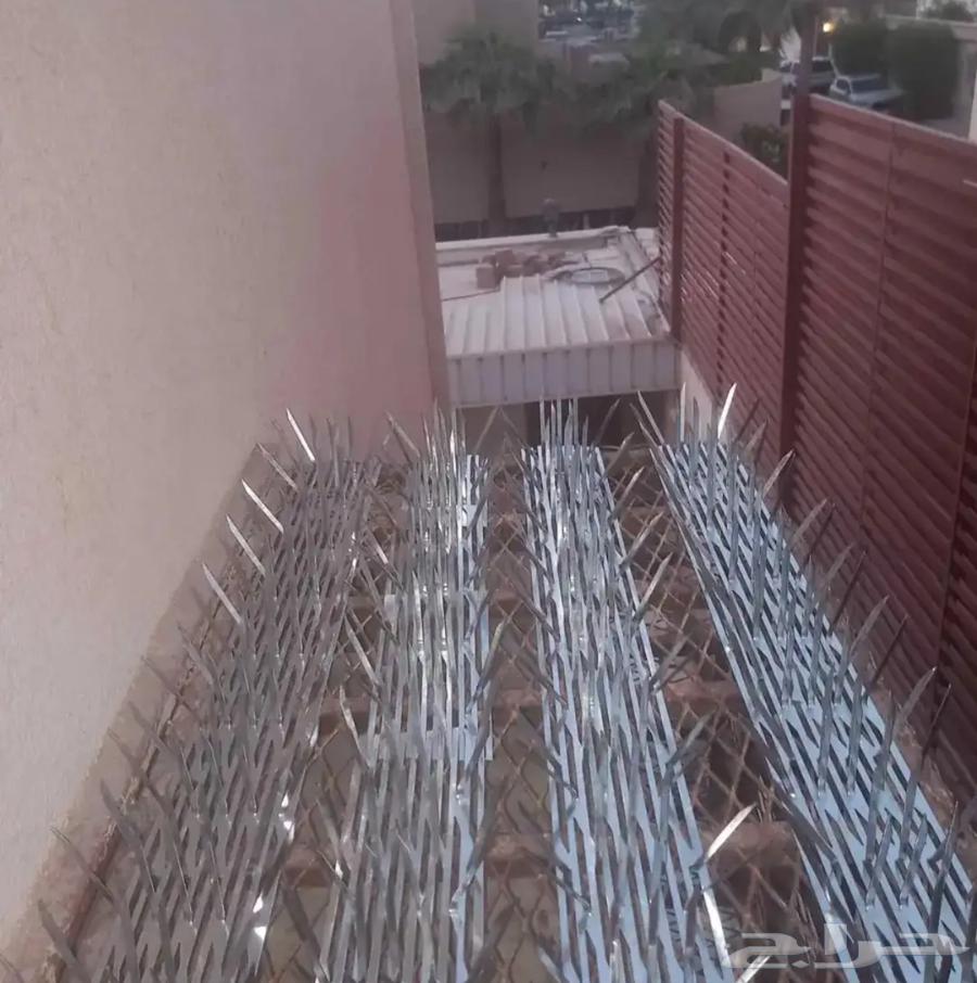 Jeddah pigeon deterrent installation company, pigeon netting, pigeon spikes64513588768003112