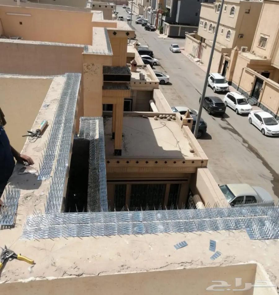 Jeddah pigeon deterrent installation company, pigeon netting, pigeon spikes64513588768003114