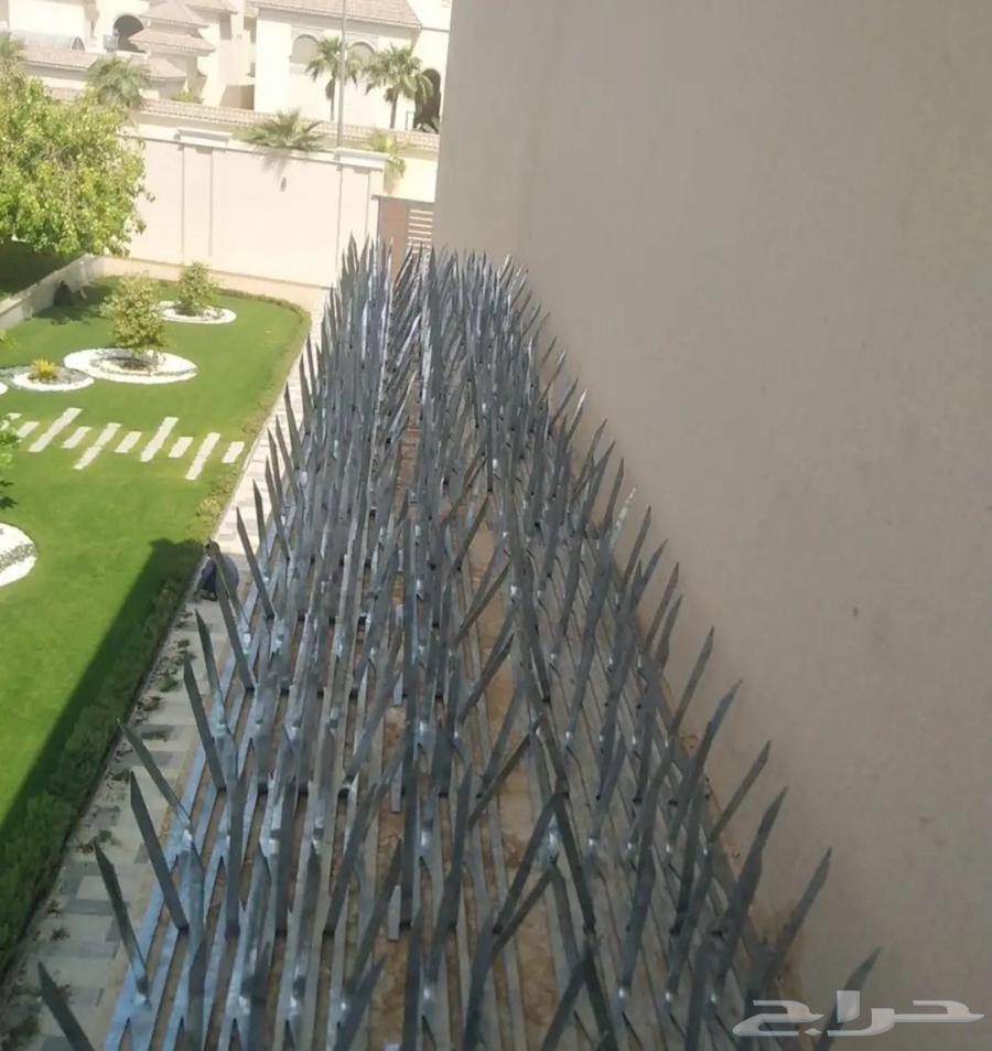Jeddah pigeon deterrent installation company, pigeon netting, pigeon spikes64513588768003110