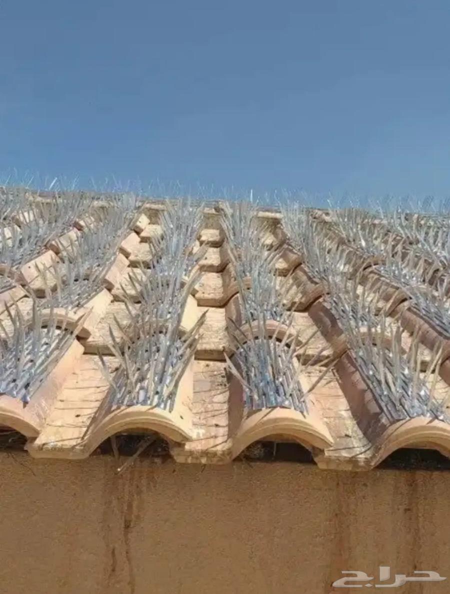 Jeddah pigeon deterrent installation company, pigeon netting, pigeon spikes64513588768003111