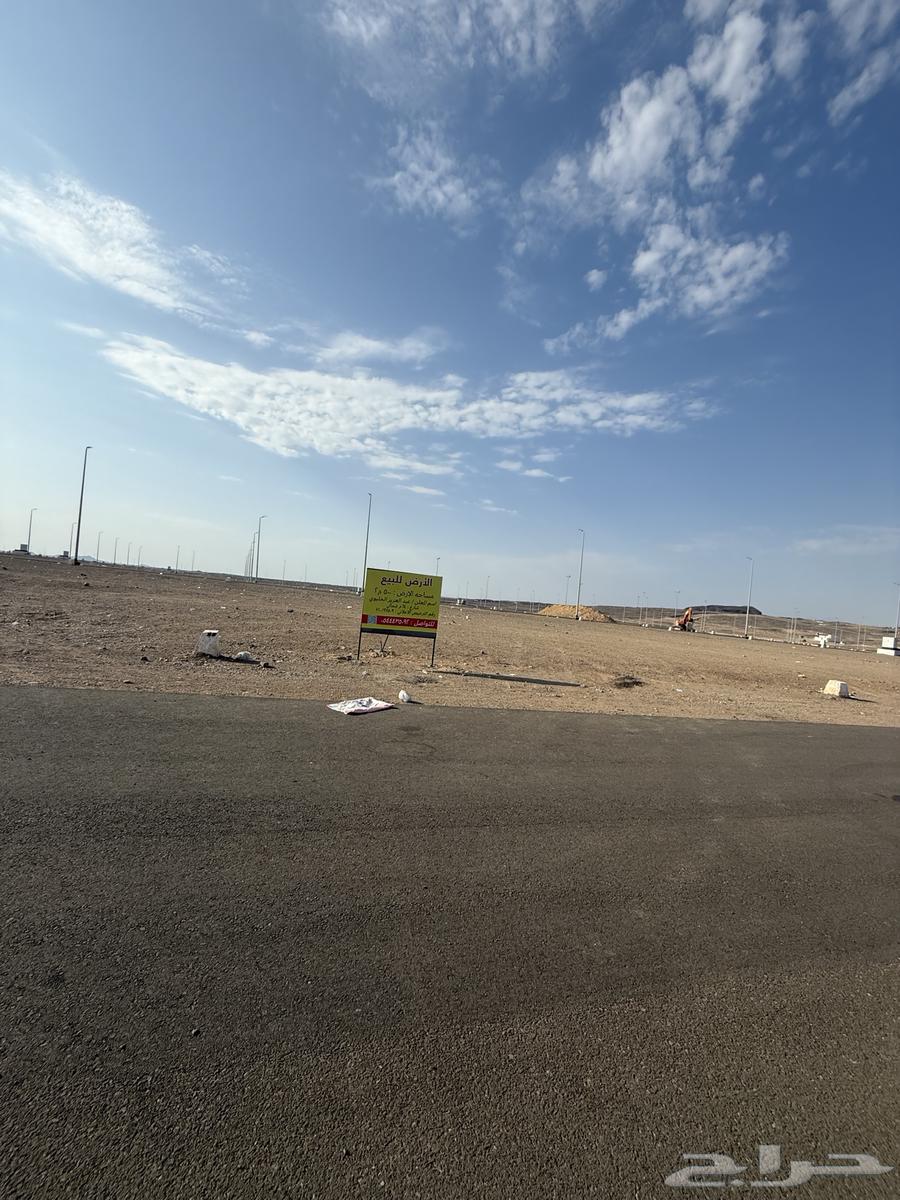 للبيع ارض تجارية في مخطط اطلالة الرانوناء م500 شارع64 شمالي64518050061187114