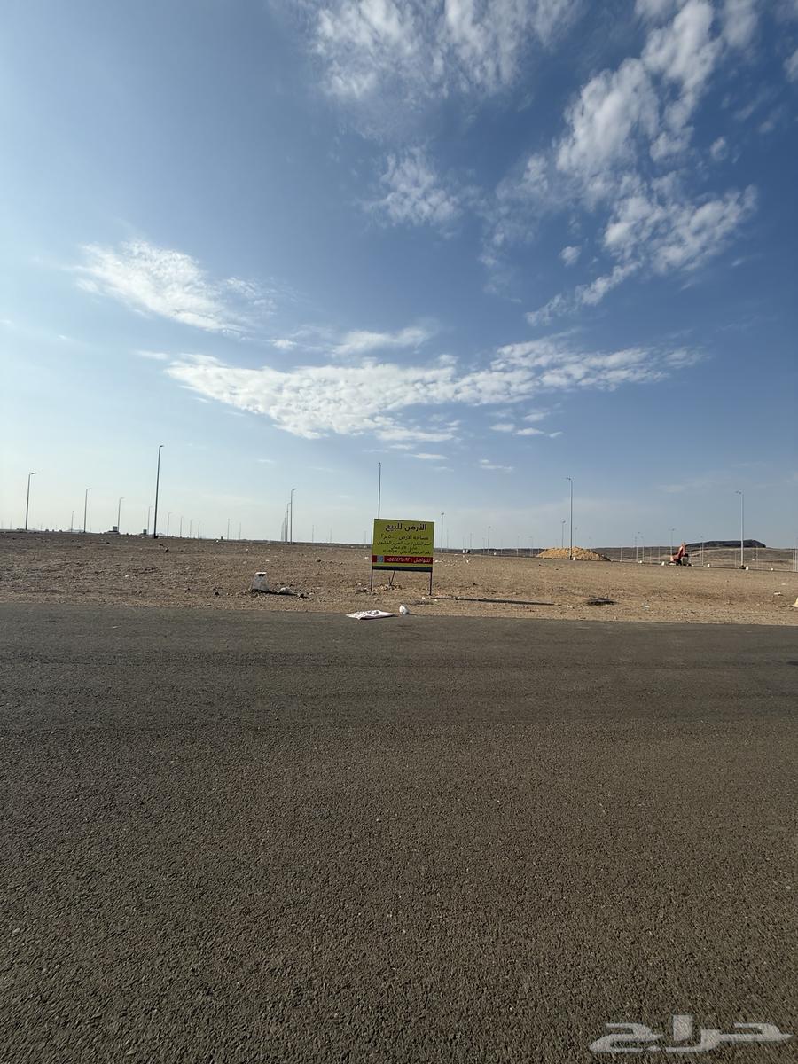للبيع ارض تجارية في مخطط اطلالة الرانوناء م500 شارع64 شمالي64518050061187110