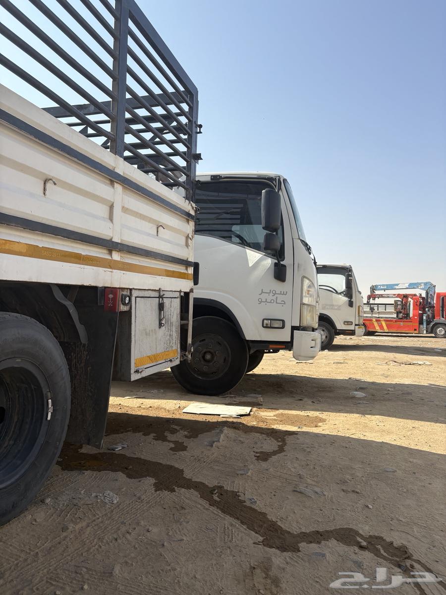 دينه دنه دينا نقل64518146881539110