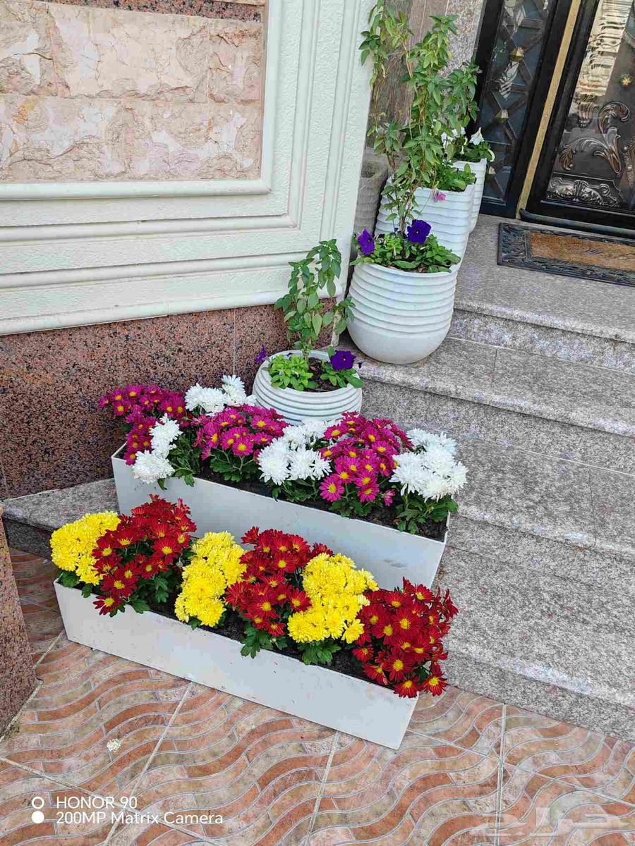 مشتل زهور الحياه لتنسيق وزراعة جميع الاشجار والنباتات64525020474498112