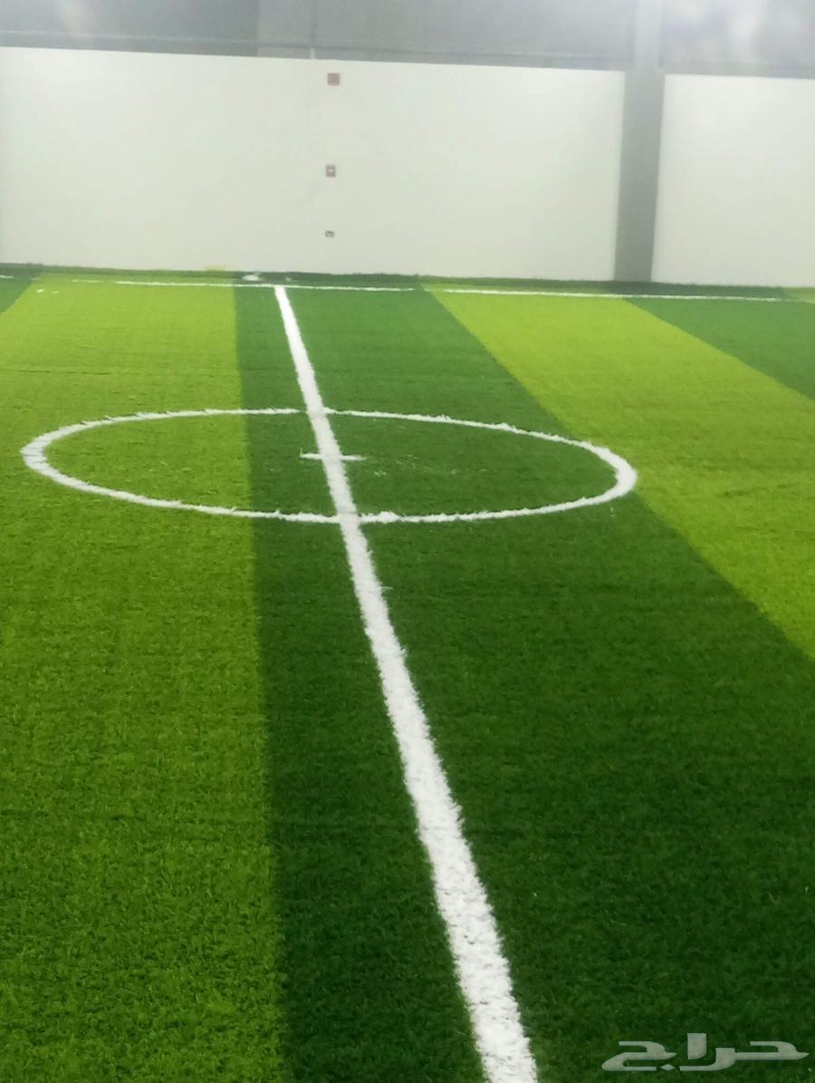 توريد وتركيب بديل خشب الشيبورد عشب صناعي تركيب ملاعب64513589128193112