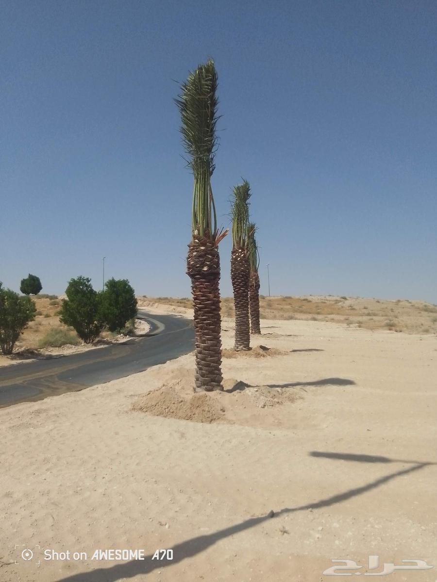 Fencing contractor with various types, and we handle angel jobs64518278378499110