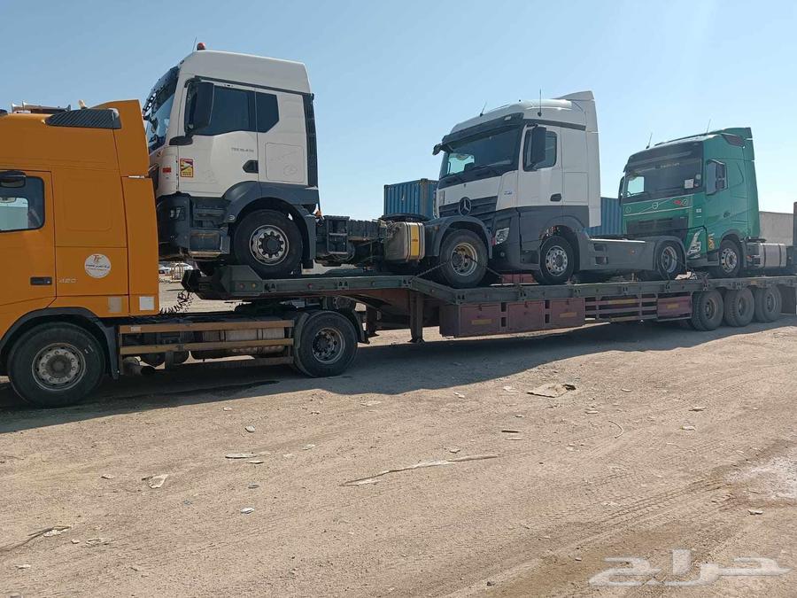 لوبد المدينة المنورة وماحولها64518276944257112