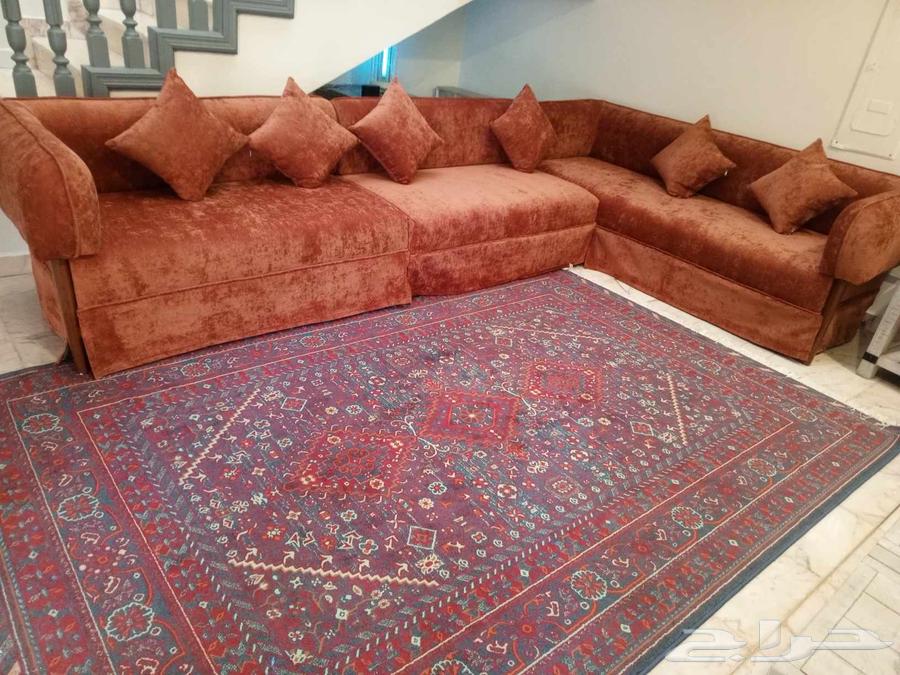 Styling upholstery of stayer sessions64518310430722112