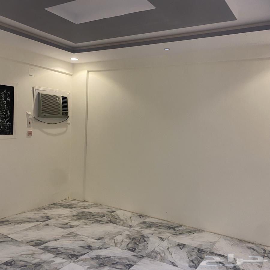 شقة للإيجار