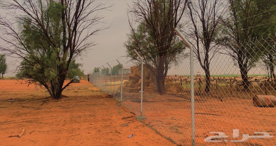 Installation of fences of all types64518033811073110